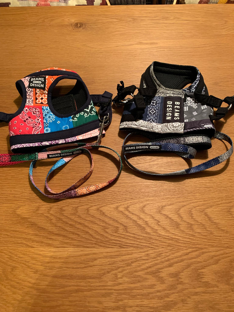 BEAMS DESIGN（ビームス デザイン）ハーネス オリジナルバンダナ