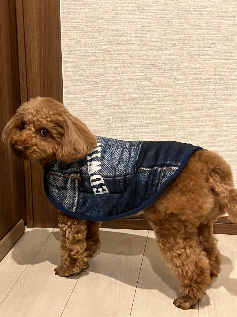 EDWIN（エドウイン）着るブランケット デニムパッチワーク柄 | 犬服