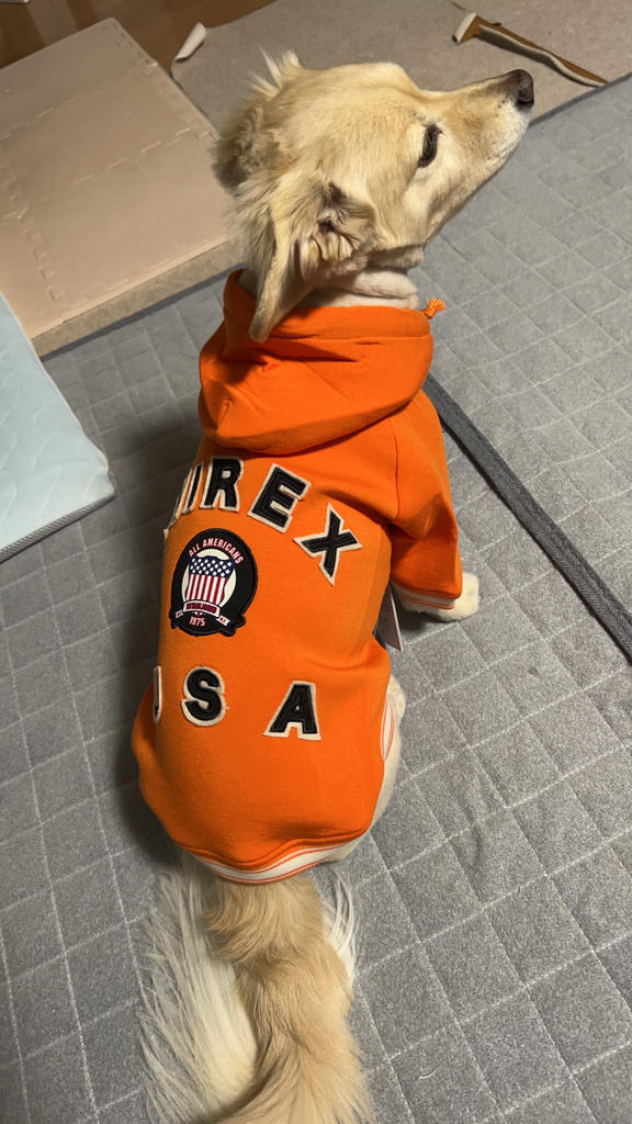 人気ブランドを AVIREX（アヴィレックス）バーシティーパーカー | 犬服・ドック 犬服・アクセサリー