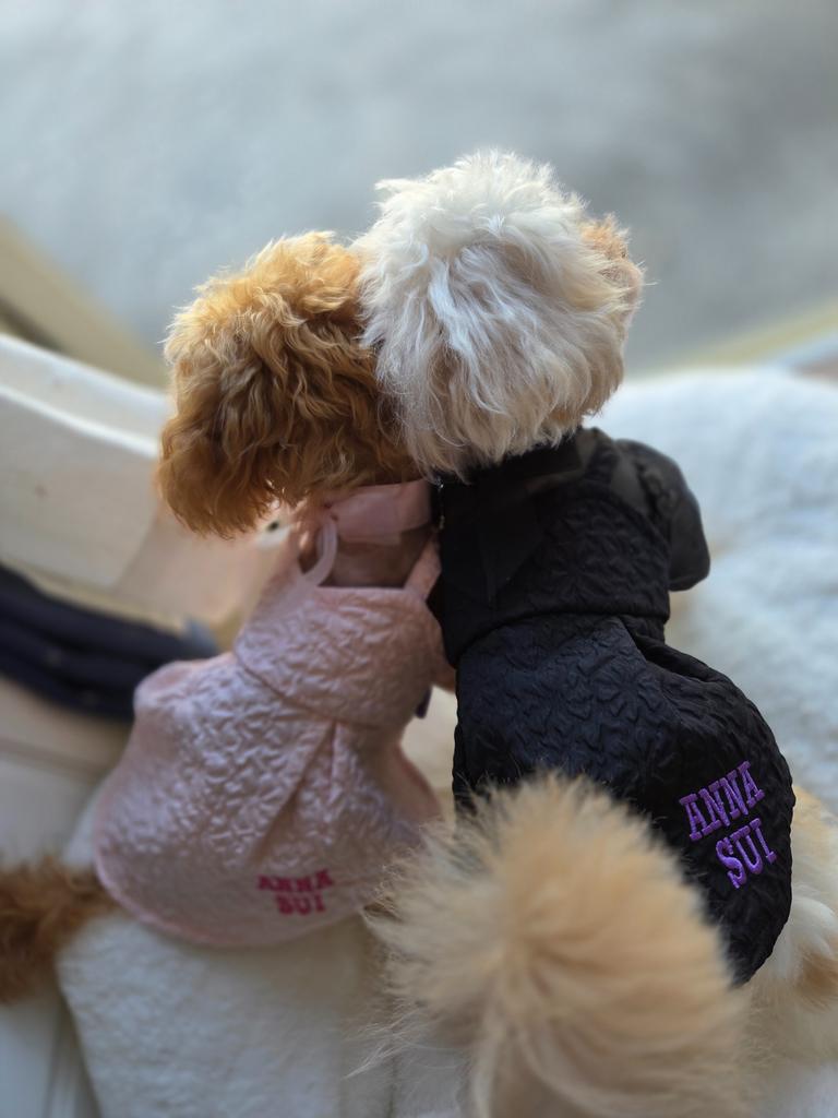 ANNA SUI（アナ スイ）ジャガードフラワーワンピース | 犬服