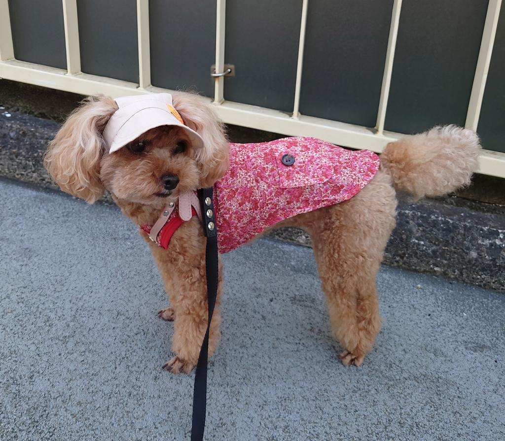 LAURA ASHLEY（ローラアシュレイ）ポケット付きジャンパースカート