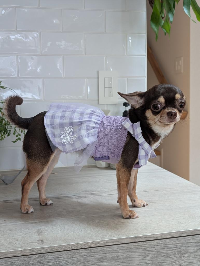 ANNA SUI（アナ スイ）ショルダーリボンギンガムチェックギャザー