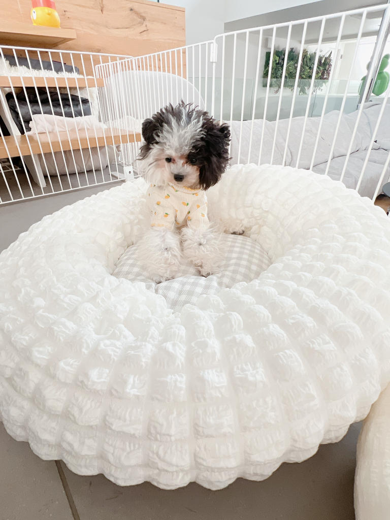 Solgra（ソルグラ）ぽこぽこラウンドベッド｜全2色 | 犬服・ドック