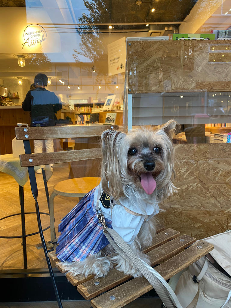 ONE OCTAVE（ワンオクターヴ）スクールワンピース | 犬服・ドック