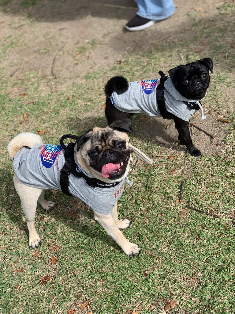 X-girl（エックスガール）スプリットオーバルロゴフーディー | 犬服