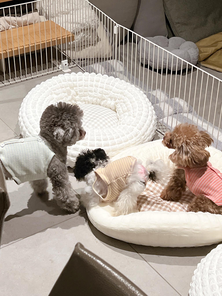 Solgra（ソルグラ）ぽこぽこラウンドベッド｜全2色 | 犬服・ドック