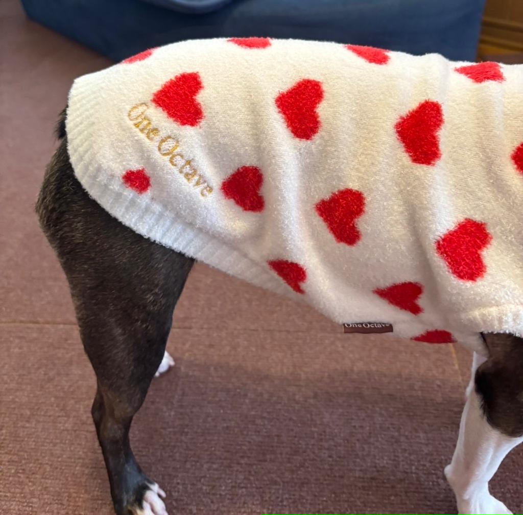ONE OCTAVE（ワンオクターヴ）ハート柄ルームウェア | 犬服・ドック