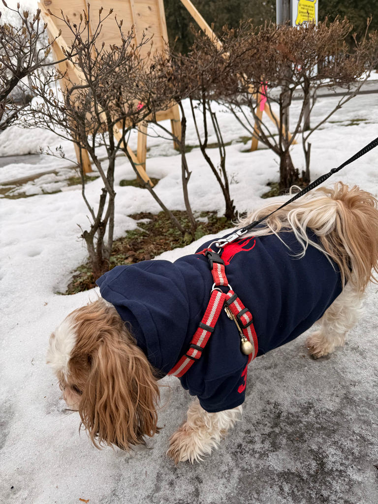 RALPH LAUREN（ラルフローレン）ビッグポニーフリースフーディー / Big