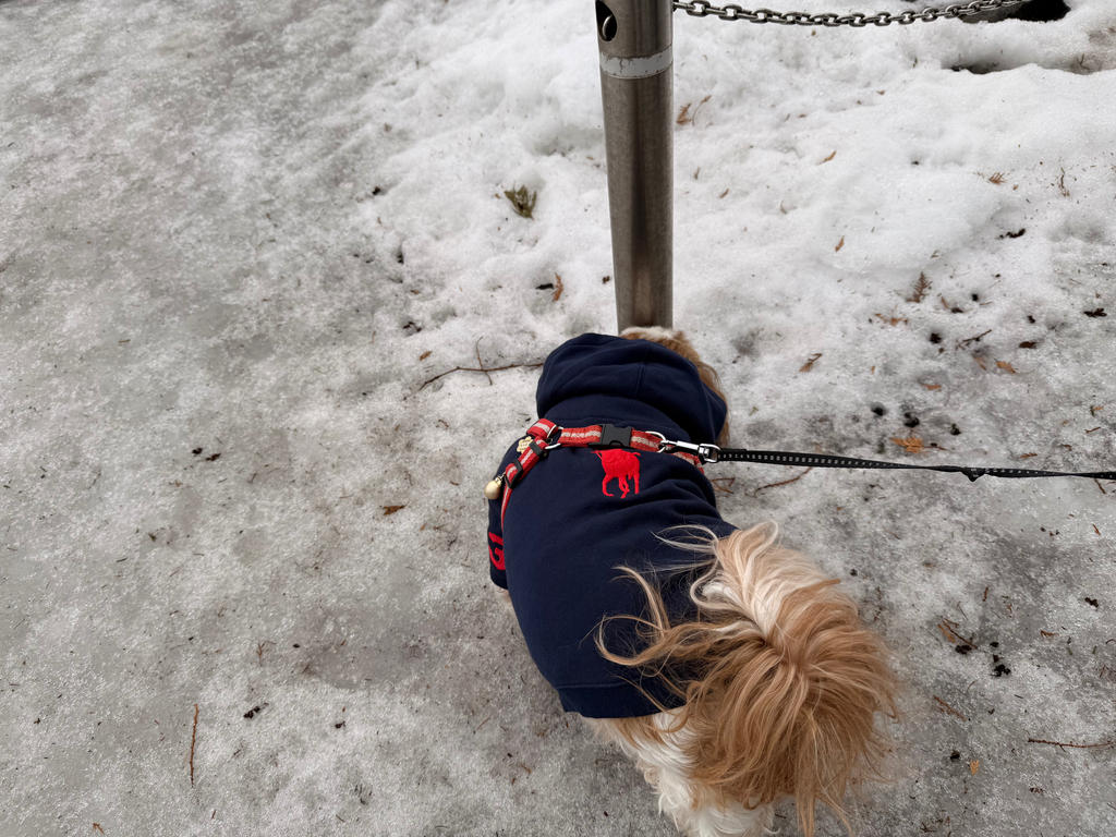 RALPH LAUREN（ラルフローレン）ビッグポニーフリースフーディー / Big