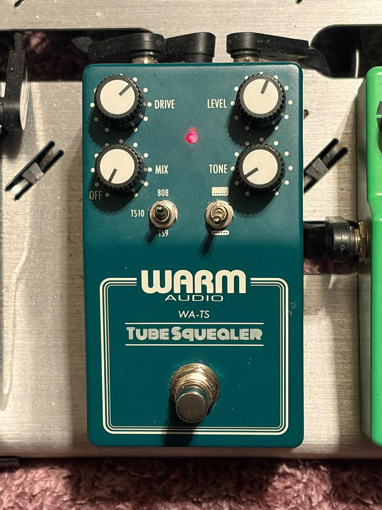WARM AUDIO ( ウォームオーディオ ) Tube Squealer 送料無料