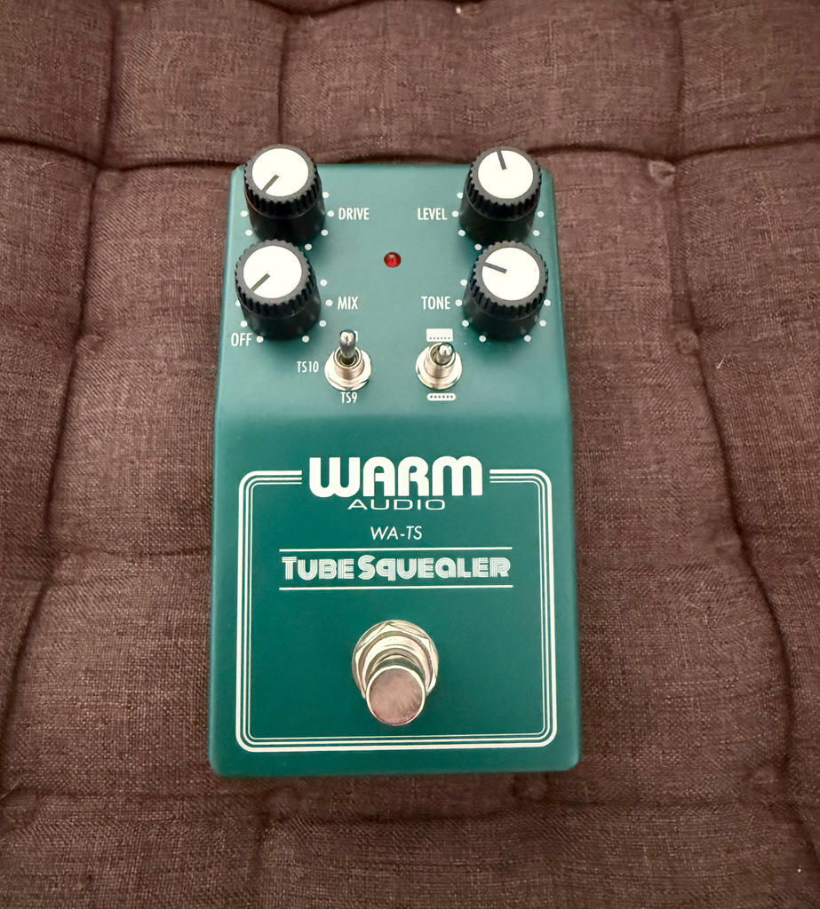WARM AUDIO ( ウォームオーディオ ) Tube Squealer 送料無料