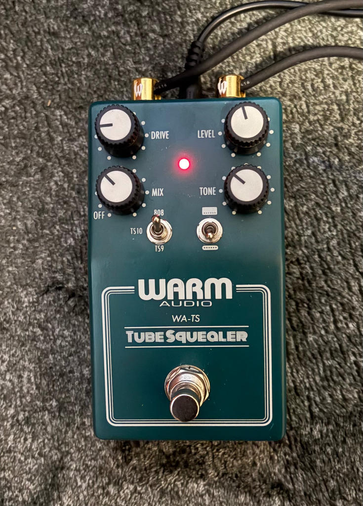WARM AUDIO ( ウォームオーディオ ) Tube Squealer 送料無料