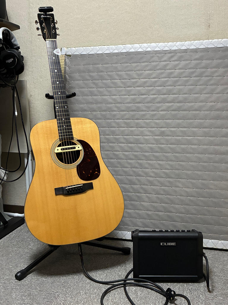 L.R.Baggs ( エルアールバックス ) M80 Soundhole Pickup 送料無料