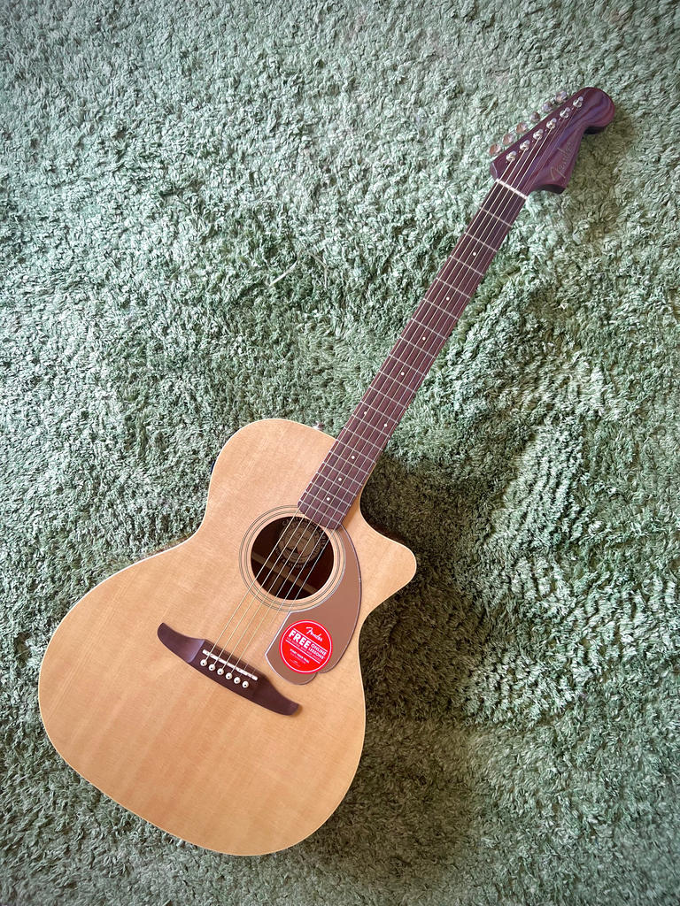 FENDER ( フェンダー ) Newporter Player Walnut FB Gold Pickguard