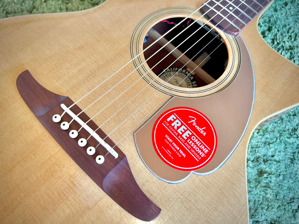 FENDER ( フェンダー ) Newporter Player Walnut FB Gold Pickguard