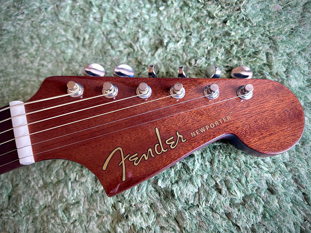 FENDER ( フェンダー ) Newporter Player Walnut FB Gold Pickguard
