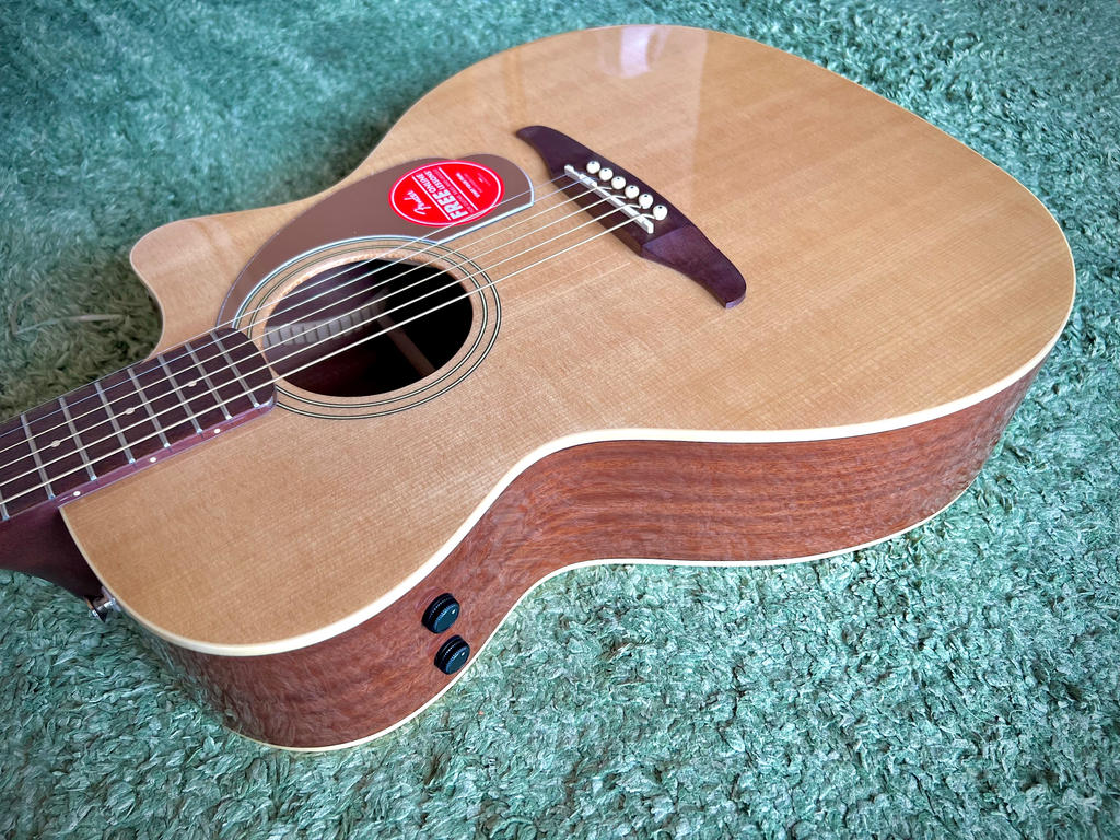 FENDER ( フェンダー ) Newporter Player Walnut FB Gold Pickguard