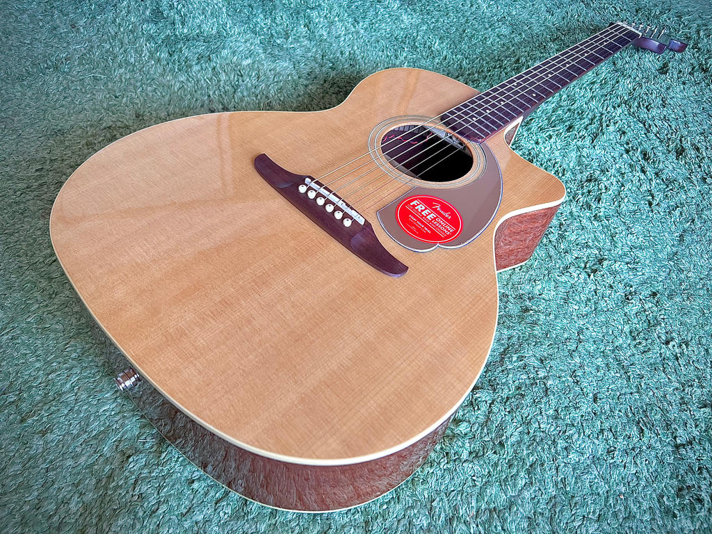 FENDER ( フェンダー ) Newporter Player Walnut FB Gold Pickguard