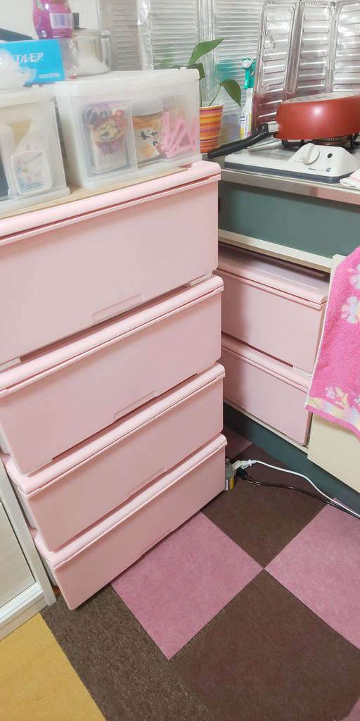 収納ケース Nフラッテ　レギュラー　ハーフ 収納ケース Nフラッテハーフ本体+フタセット（PWH） | ニトリ