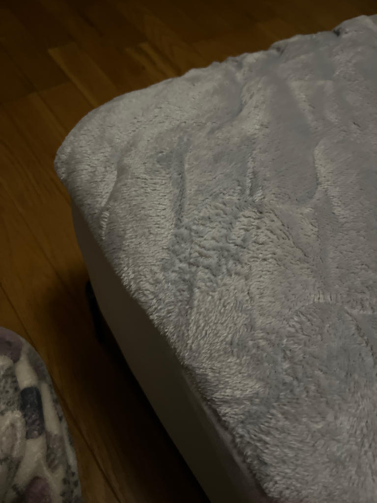 レビュー写真