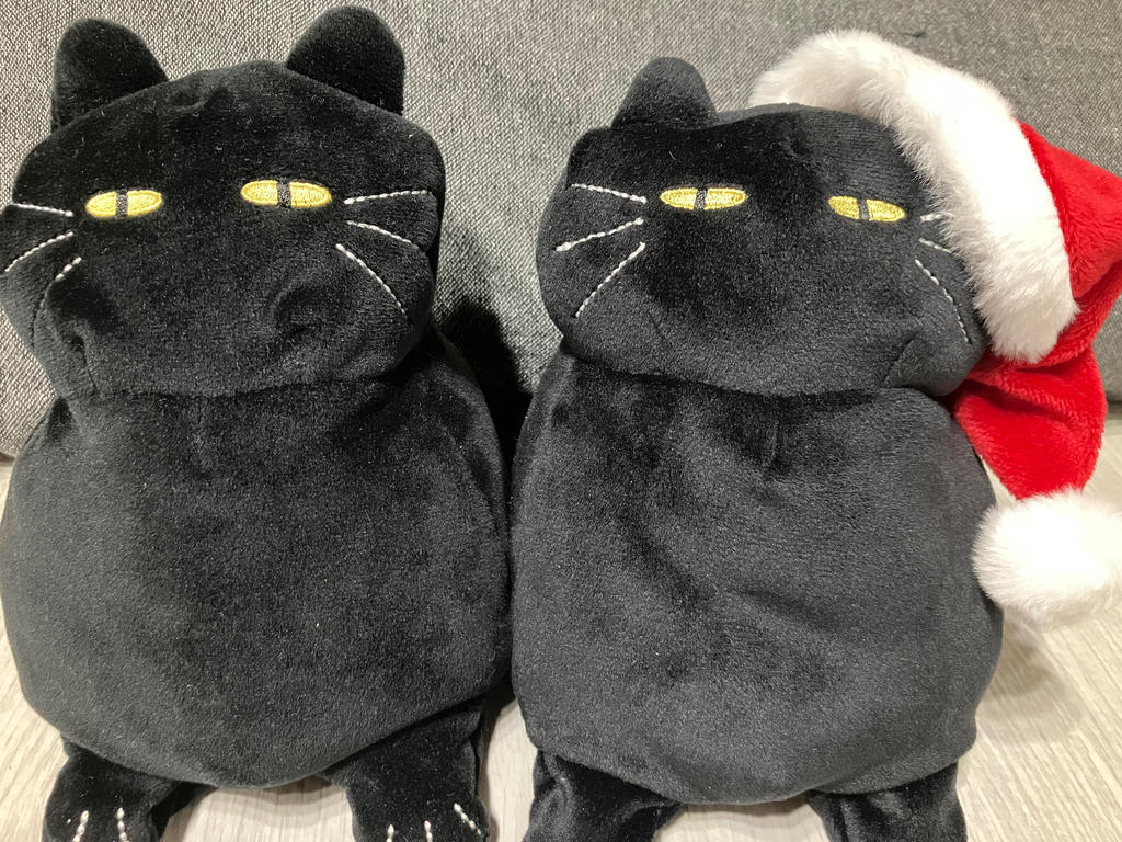 レビュー写真