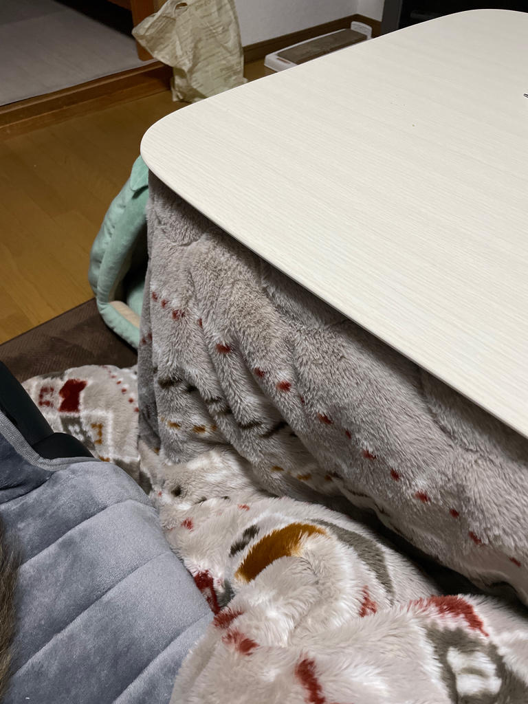 レビュー写真