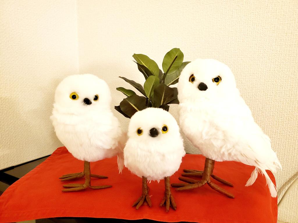 レビュー写真