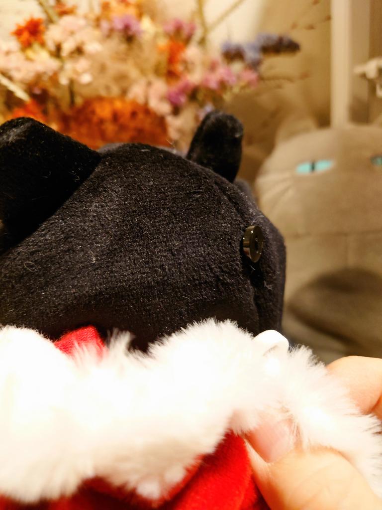 レビュー写真