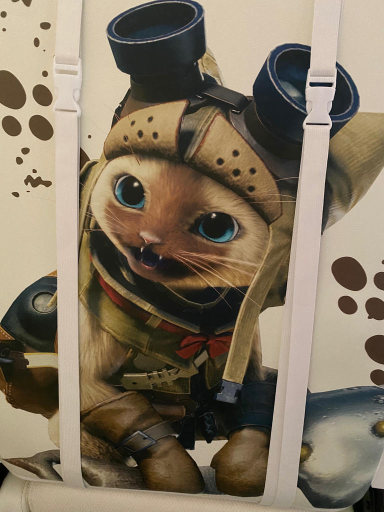 レビュー写真