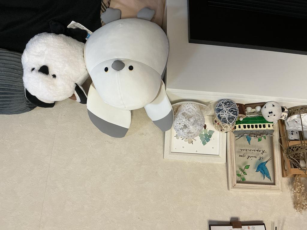 レビュー写真