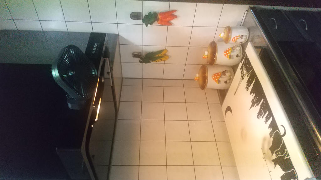 レビュー写真