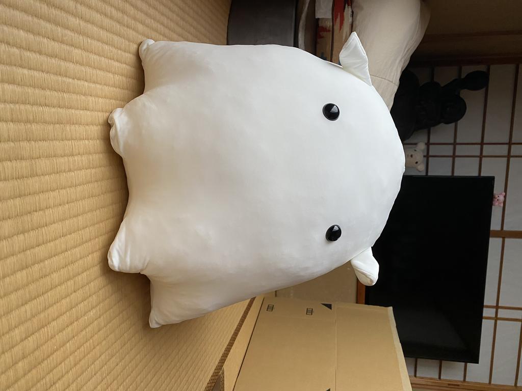 レビュー写真
