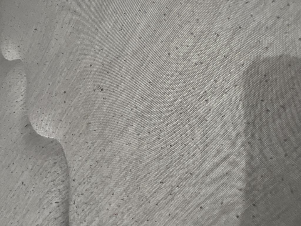 レビュー写真