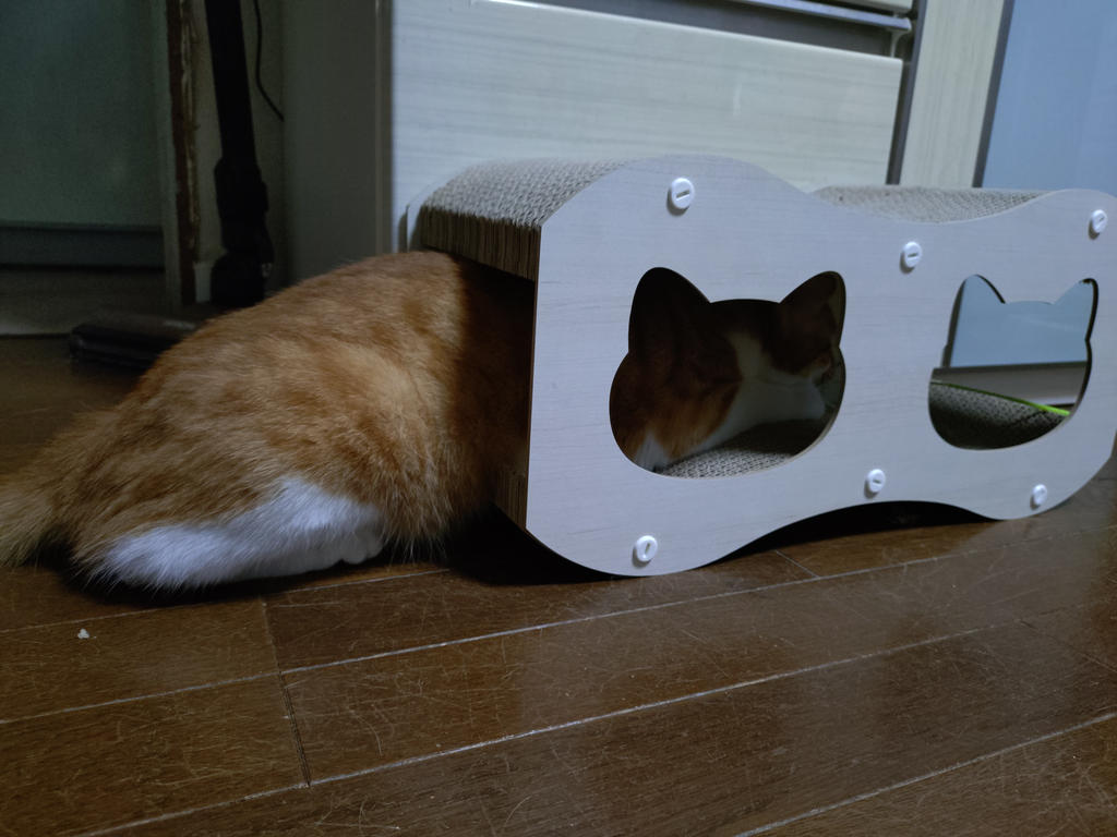 レビュー写真