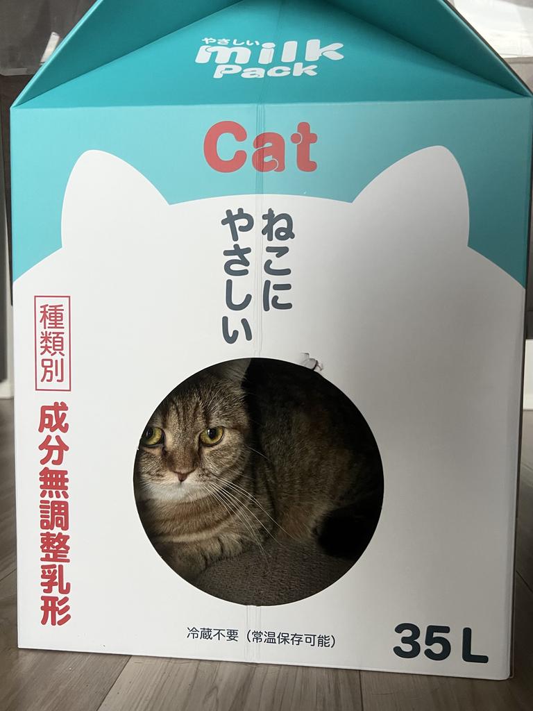 レビュー写真
