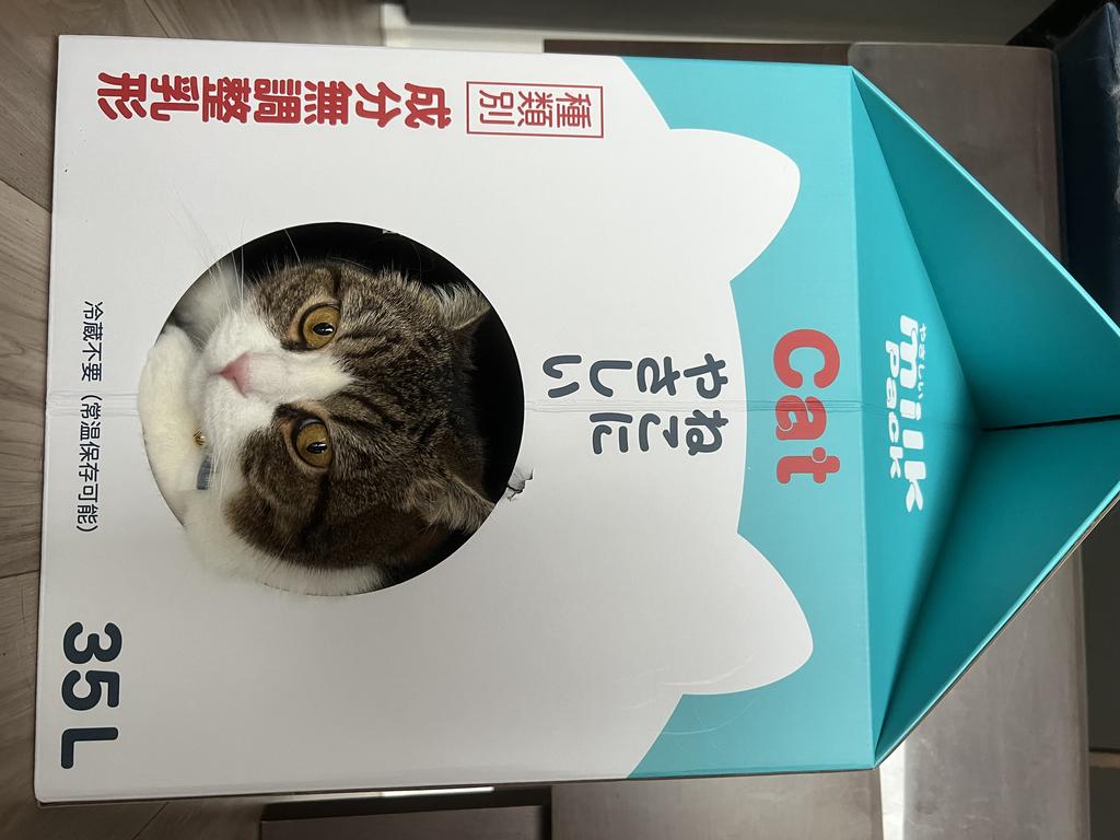 レビュー写真