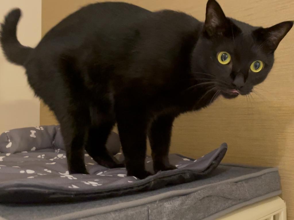レビュー写真