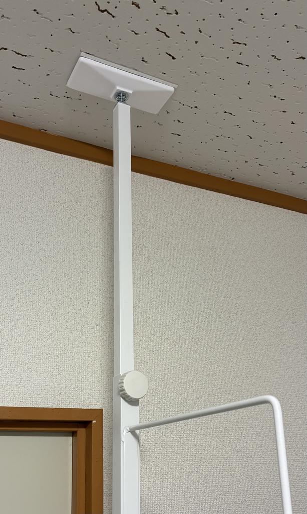 レビュー写真