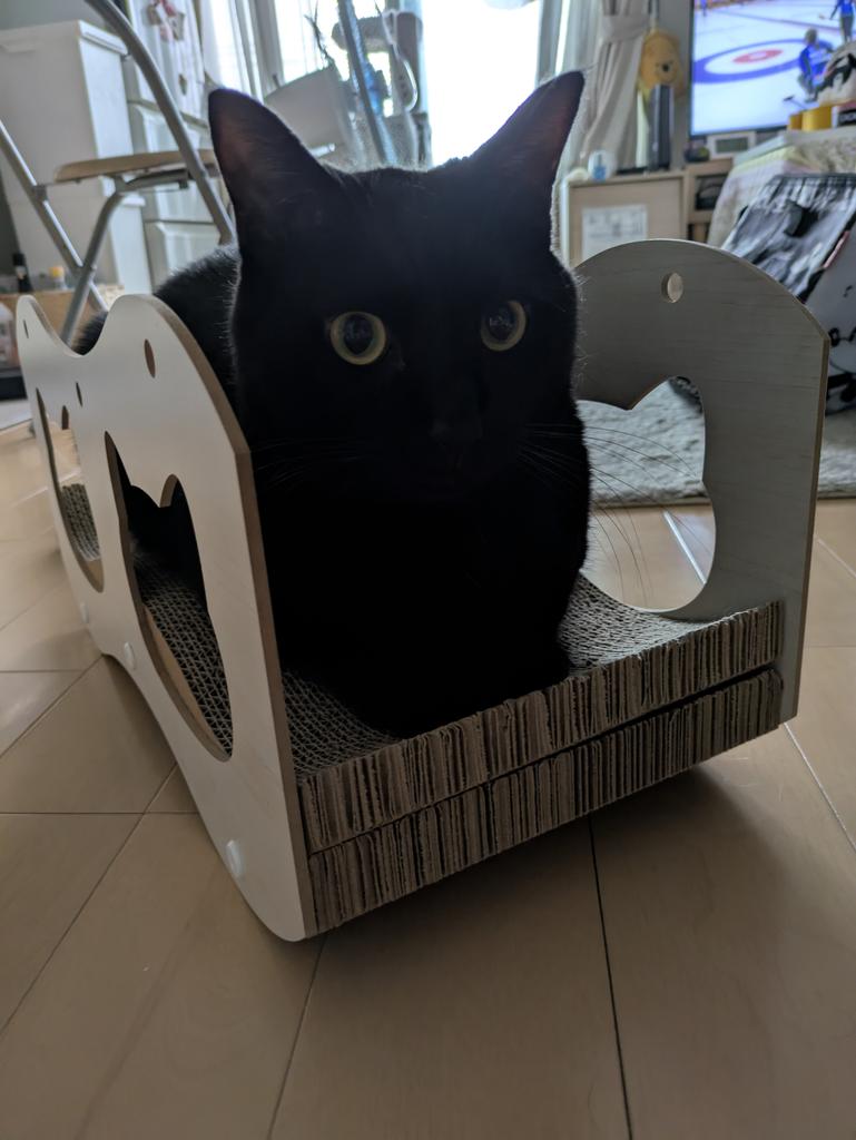 レビュー写真