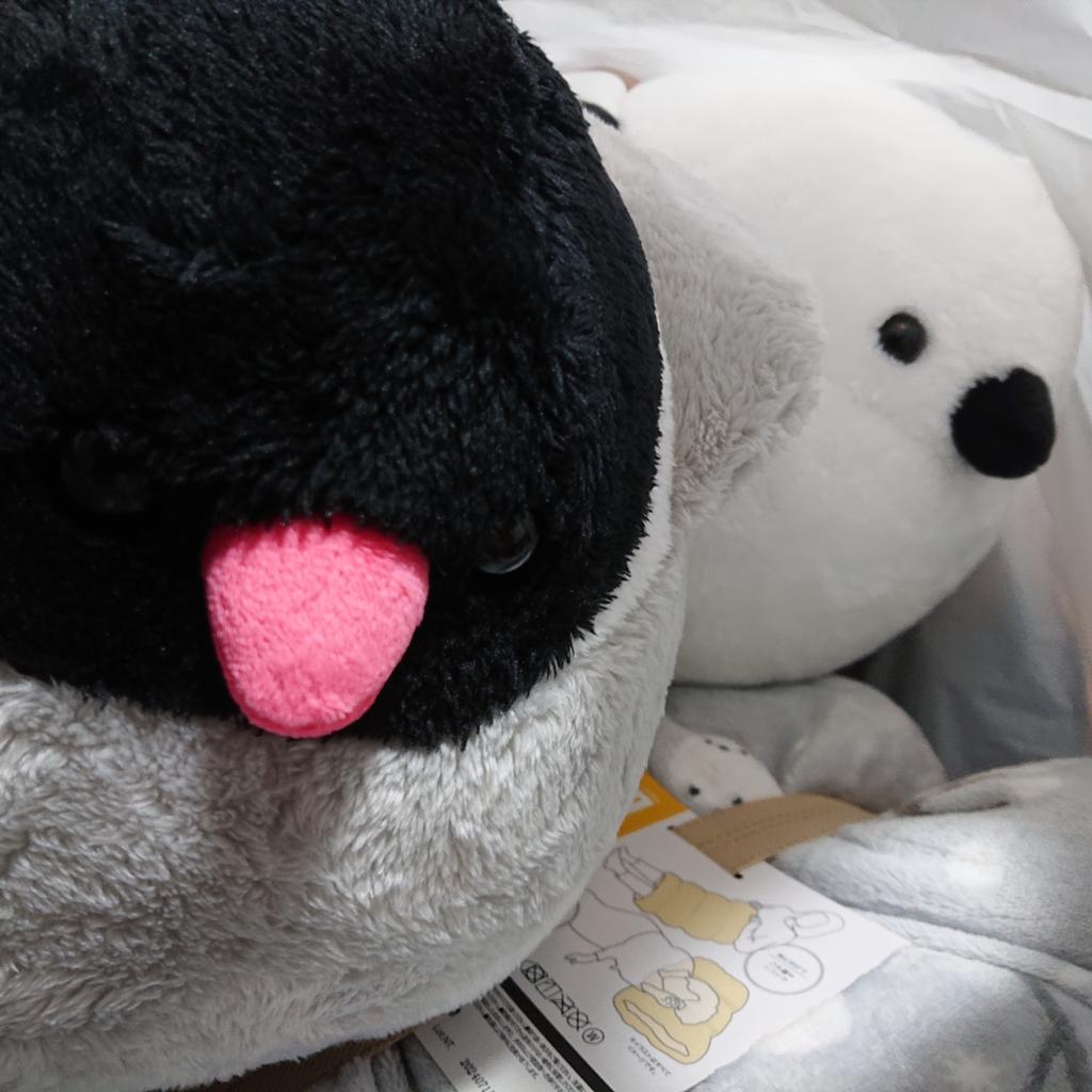 レビュー写真