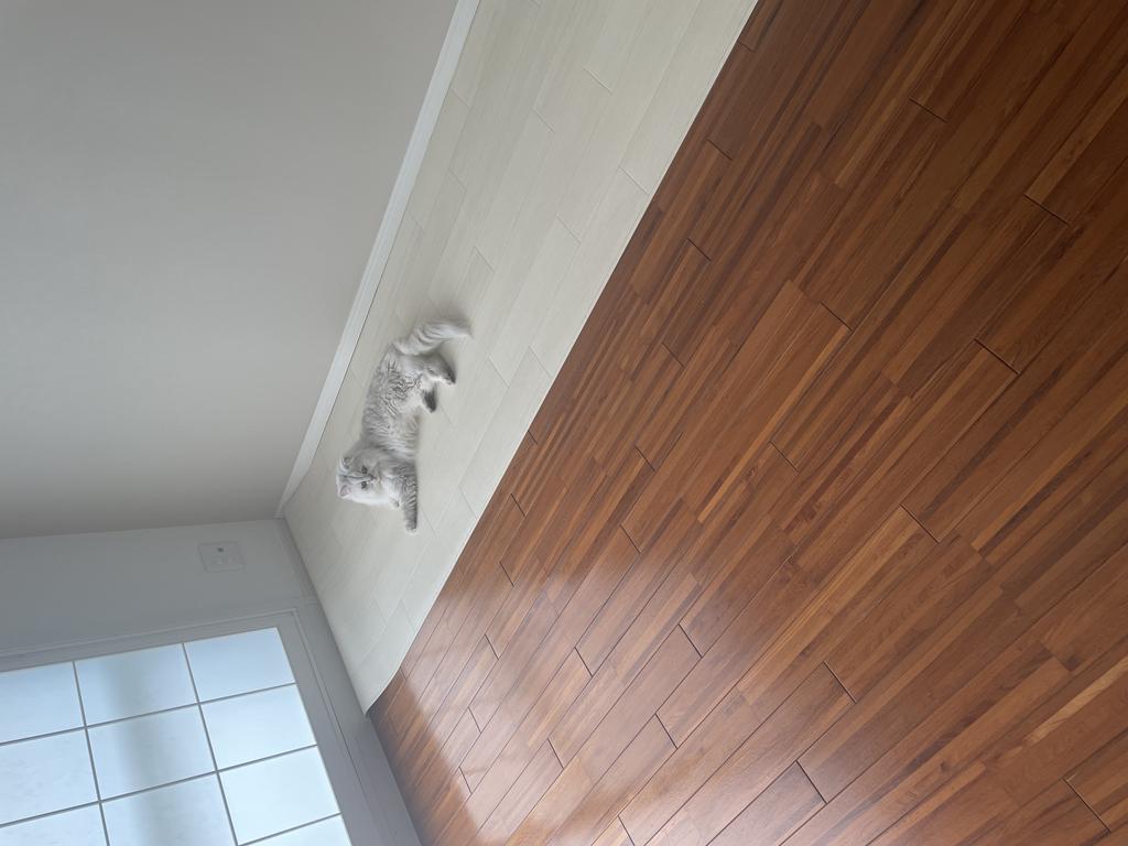 レビュー写真