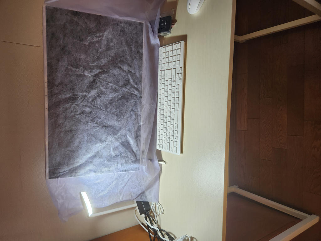 レビュー写真