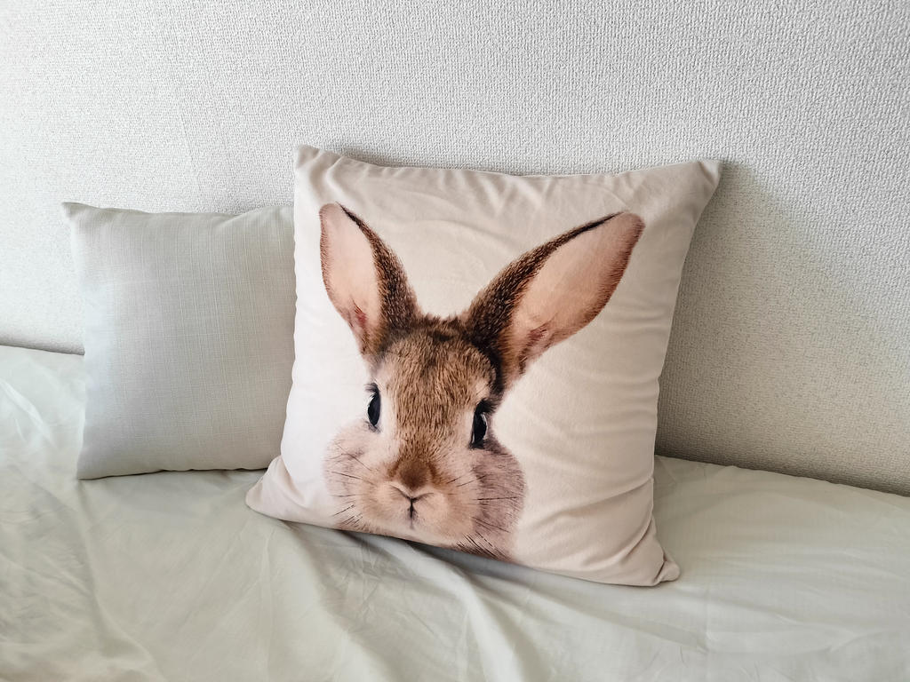 レビュー写真