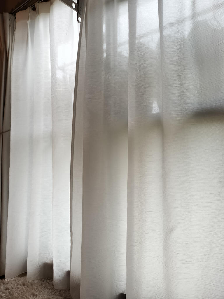 レビュー写真