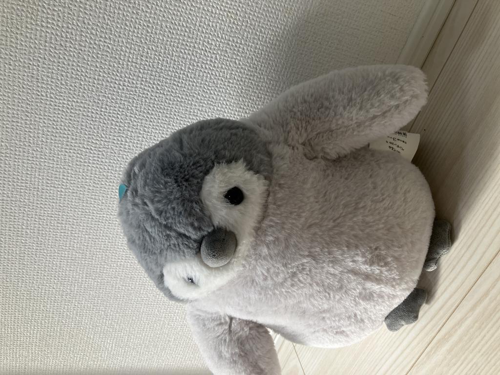 レビュー写真