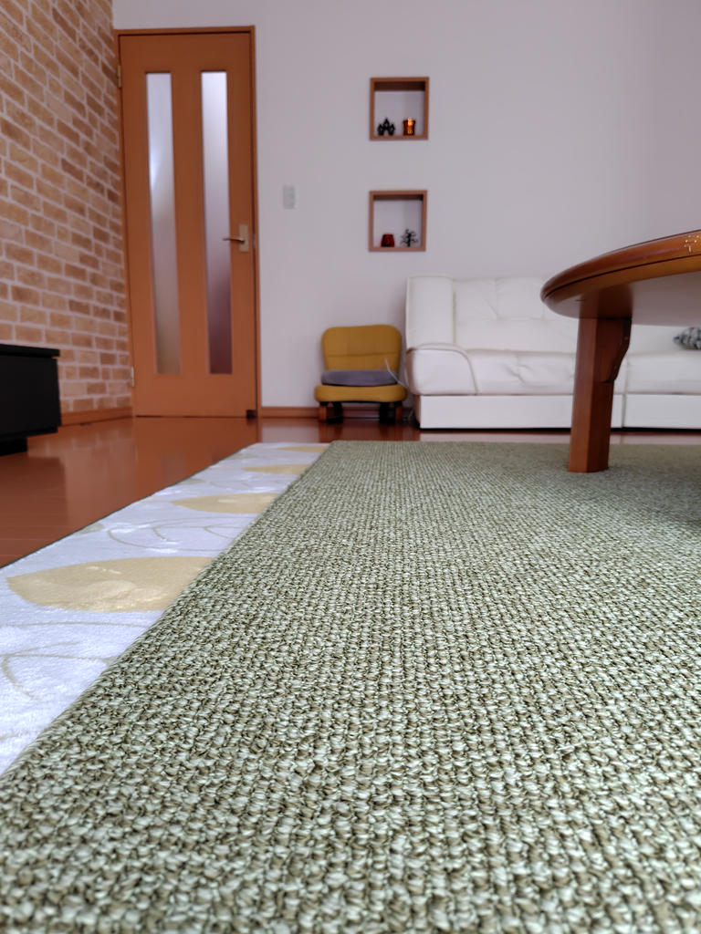 レビュー写真