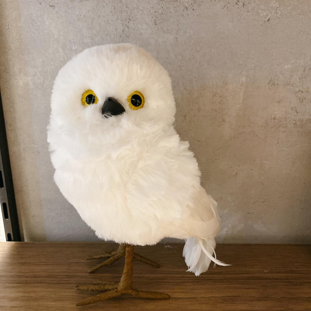 レビュー写真