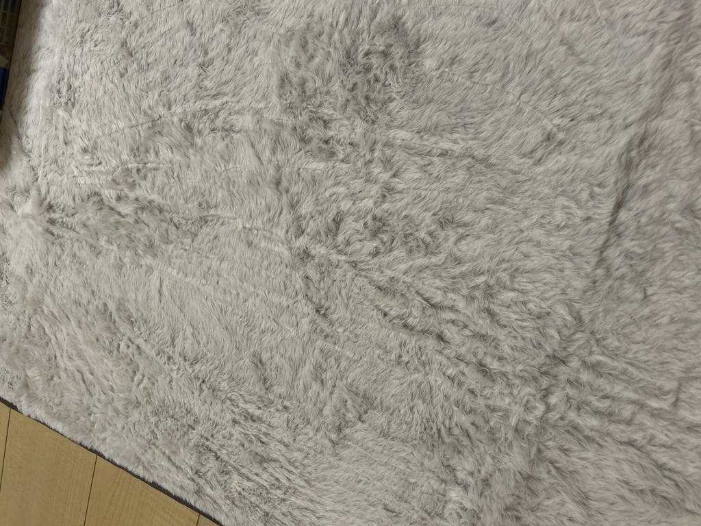 レビュー写真