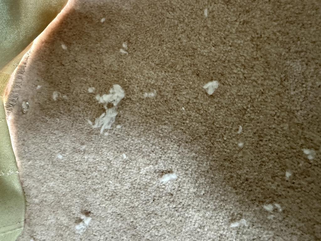 レビュー写真