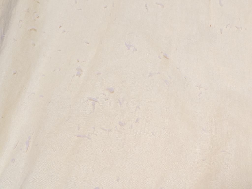 レビュー写真